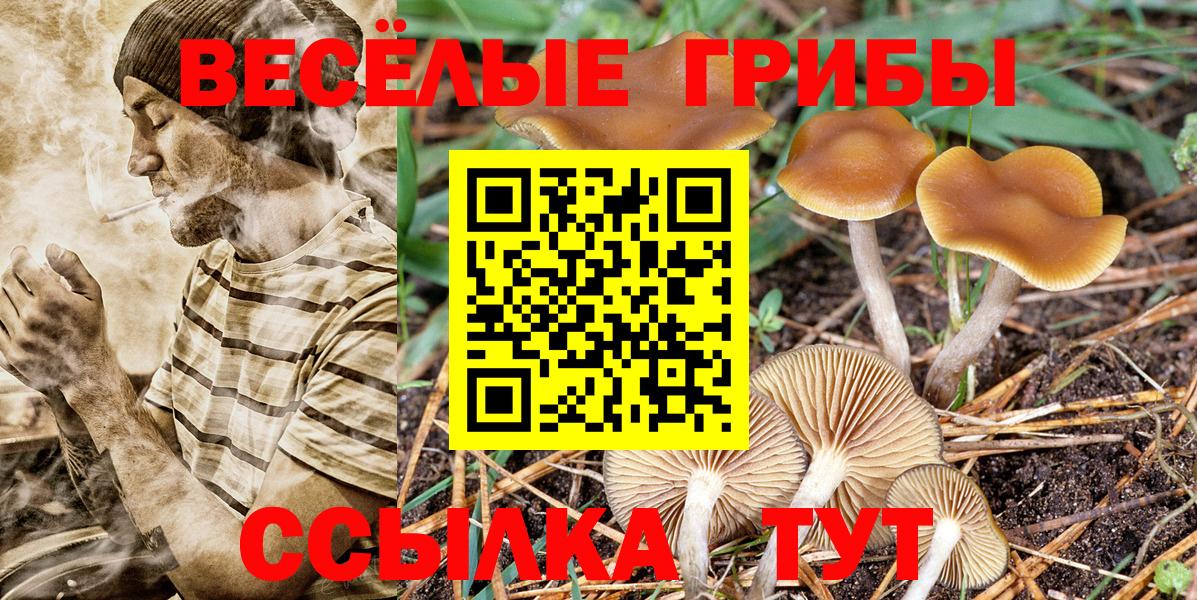 Псилоцибиновые грибы MAGIC MUSHROOMS Ковров