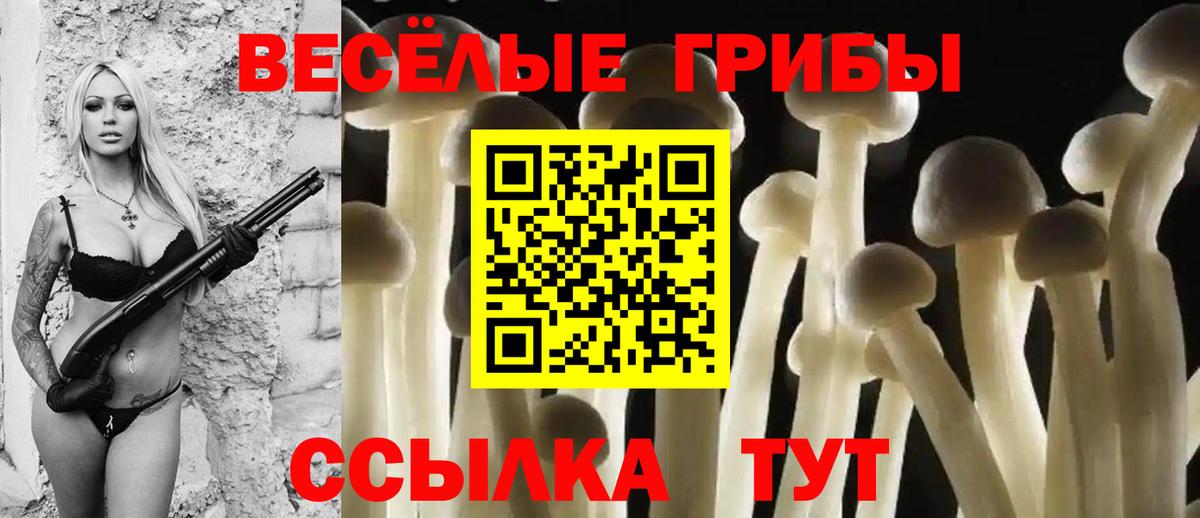 Ковров  Галлюциногенные грибы ЛСД  Вход с VPN  Псилоцибиновые грибы Magic Shrooms 
